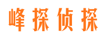 大余市调查公司